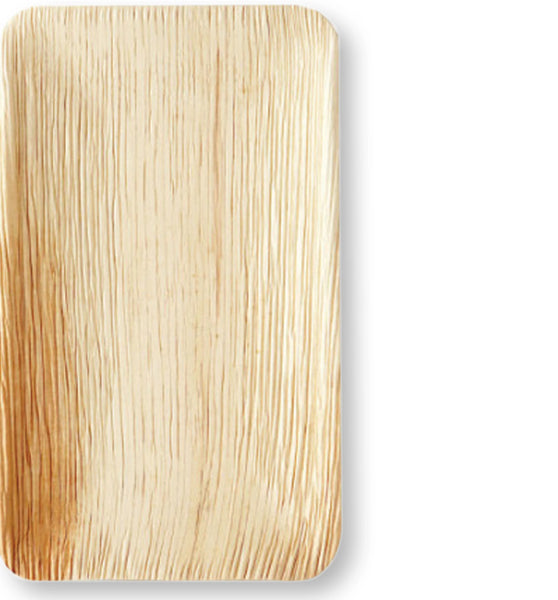 Palm Leaf Rectangle Dish 16x24cm (25 PACK)